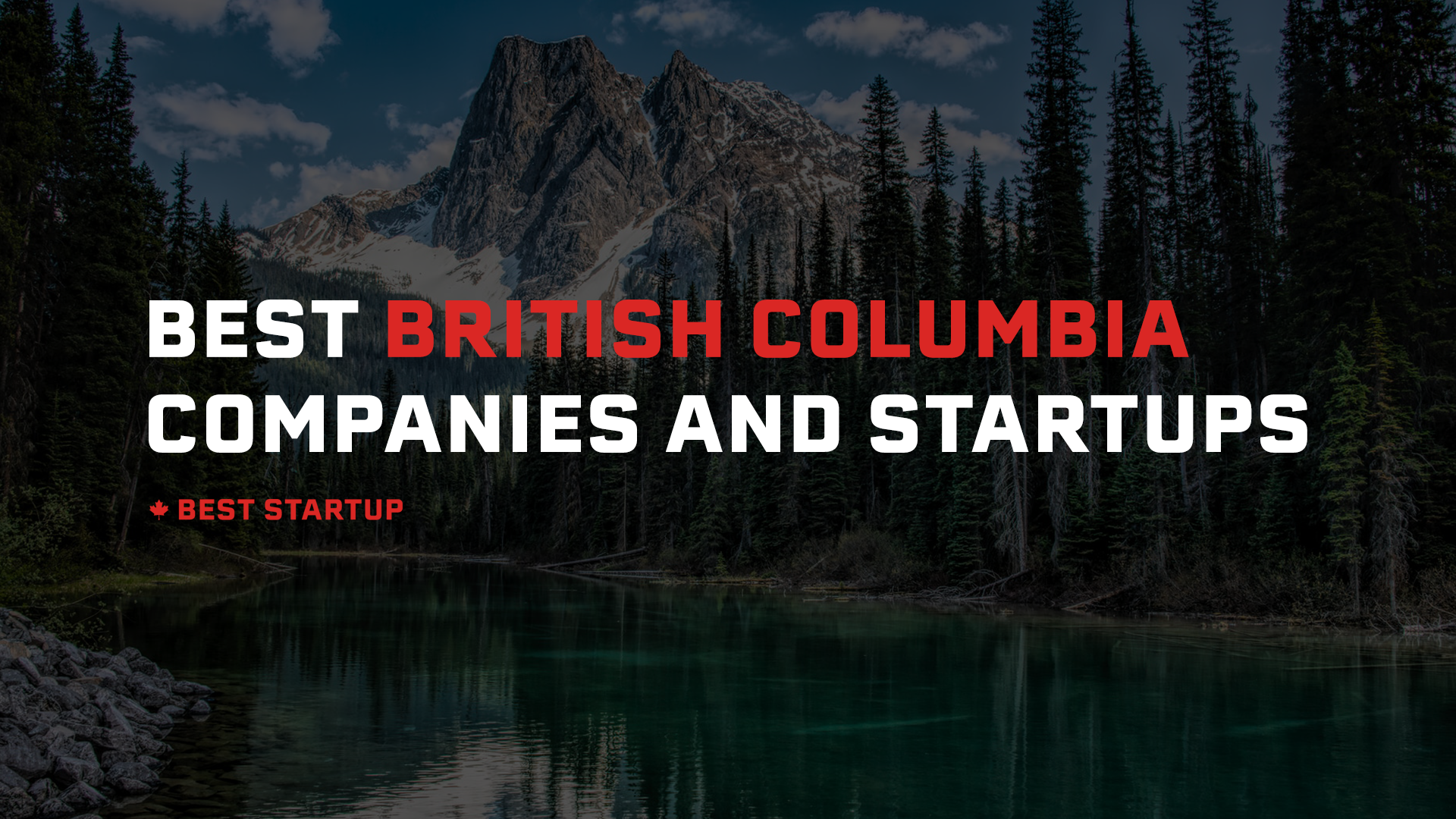 101 Top Wellness Startups and Companies in British Columbia