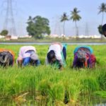 Informers write in Canada that in the opinion of Canadian farmers, the infectious modification coronavirus may be exceedingly detrimental for the food-production