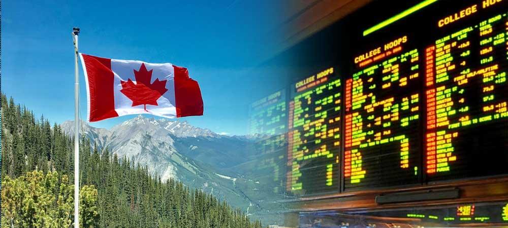 The high demand for sports betting in Canada