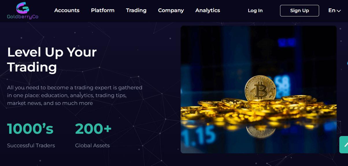 GoldberryCo.com Review: How To Select The Best Platform?