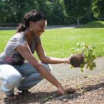What Routine Businesses Looks Like for Growing Landscaping Companies
