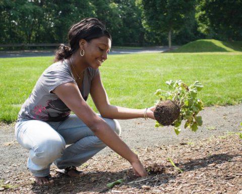 What Routine Businesses Looks Like for Growing Landscaping Companies