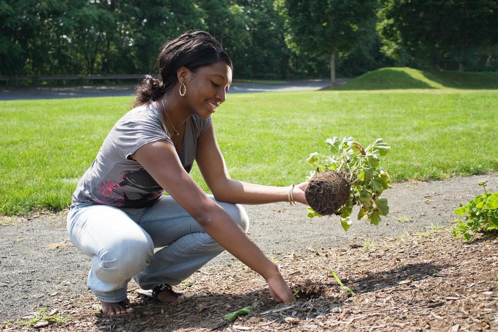 What Routine Businesses Looks Like for Growing Landscaping Companies